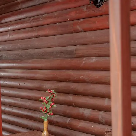 Apartment Dolanit E Drurit