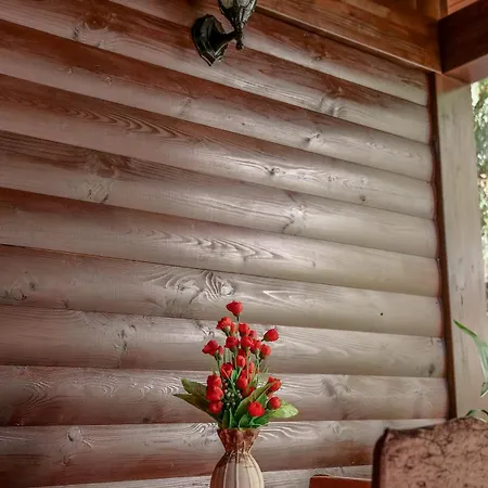 Dolanit E Drurit شقة دراس