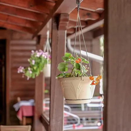 شقة Dolanit E Drurit *