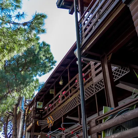 Dolanit E Drurit Durrës