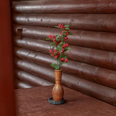 Apartament Dolanit E Drurit