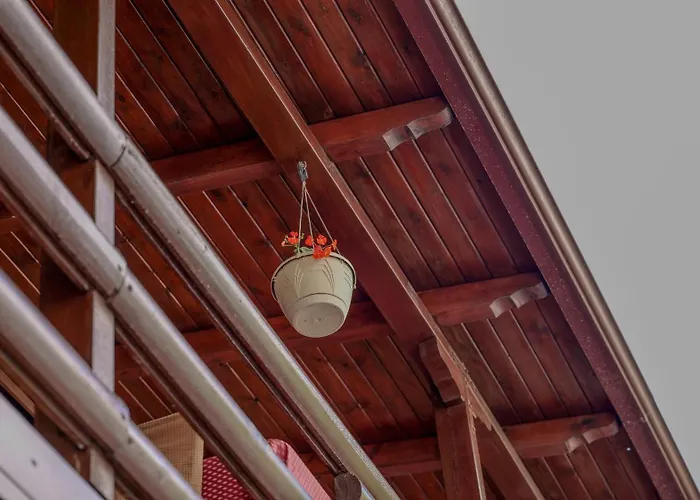 Dolanit E Drurit Daire *