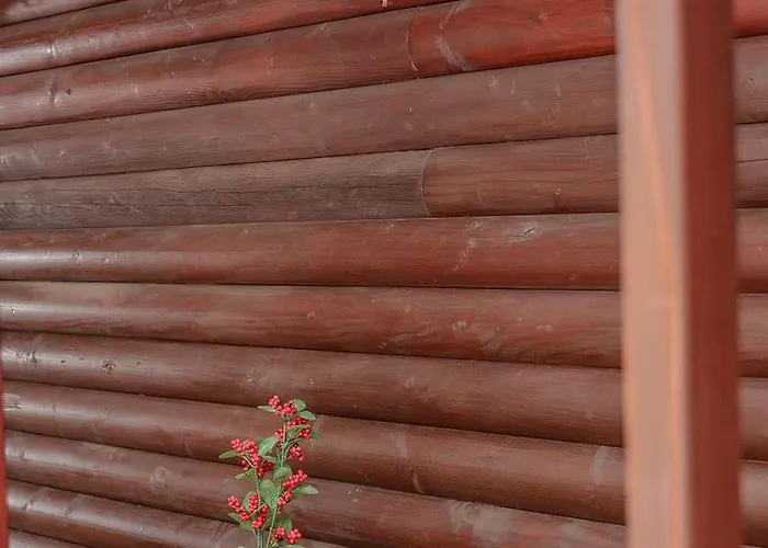 Daire Dolanit E Drurit