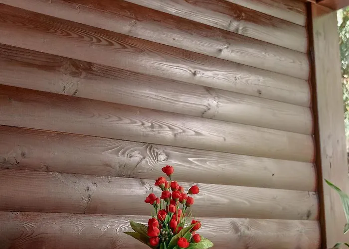 Dolanit E Drurit アパート ドゥラス