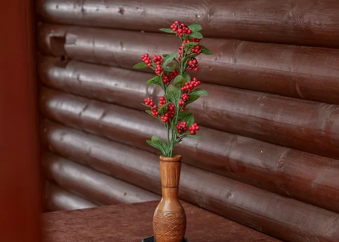 Daire Dolanit E Drurit