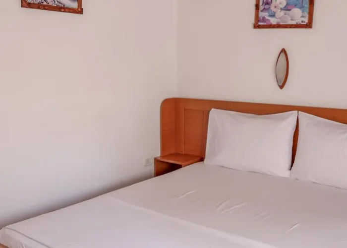 Daire Dolanit E Drurit